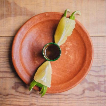 Casa Carmen Reforma Hotel Oaxaca Ngoại thất bức ảnh