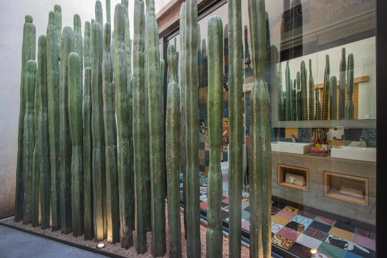Casa Carmen Reforma Hotel Oaxaca Ngoại thất bức ảnh