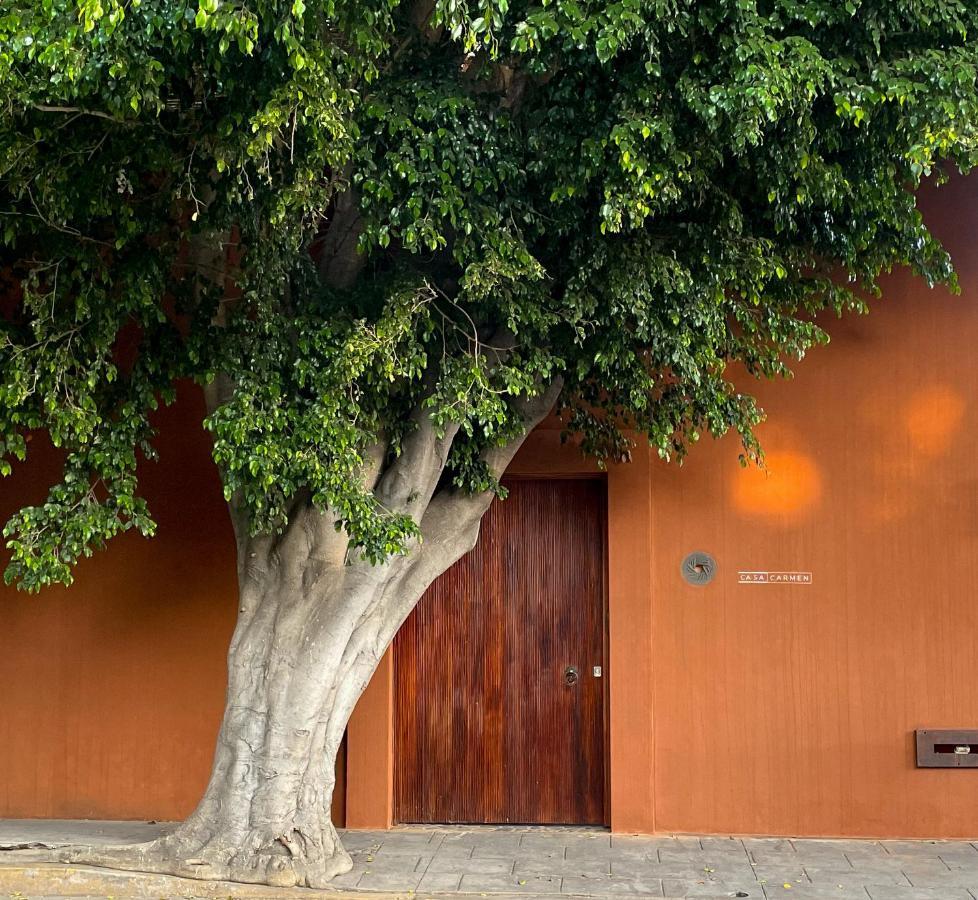 Casa Carmen Reforma Hotel Oaxaca Ngoại thất bức ảnh