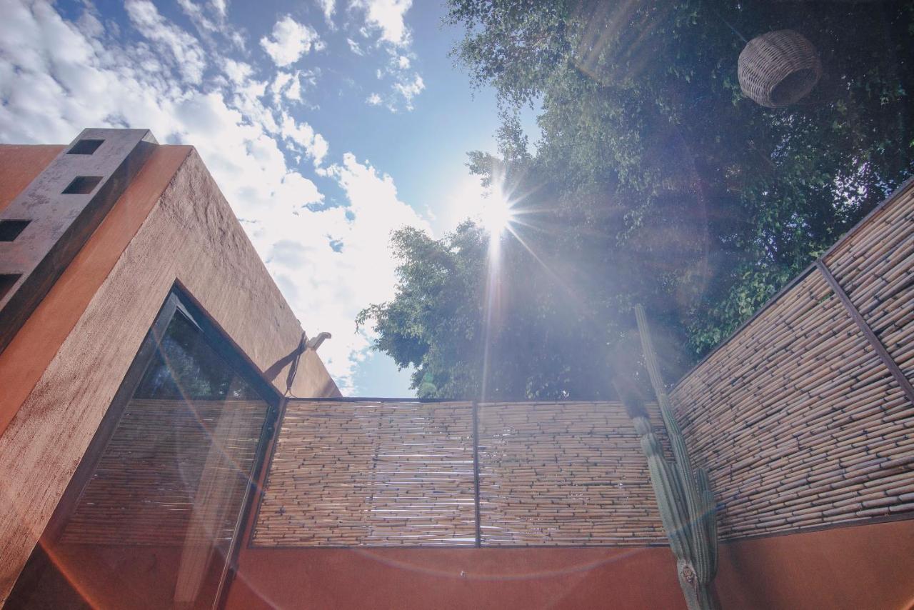 Casa Carmen Reforma Hotel Oaxaca Ngoại thất bức ảnh