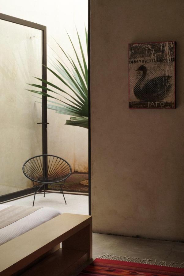 Casa Carmen Reforma Hotel Oaxaca Ngoại thất bức ảnh