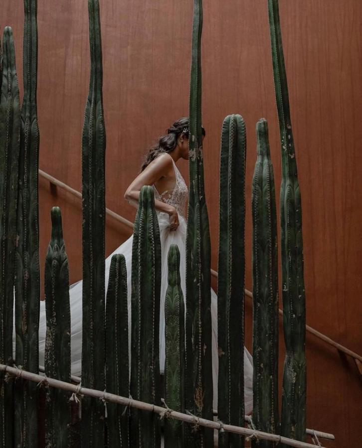 Casa Carmen Reforma Hotel Oaxaca Ngoại thất bức ảnh