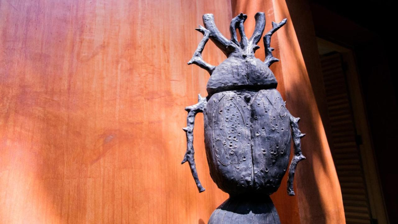 Casa Carmen Reforma Hotel Oaxaca Ngoại thất bức ảnh