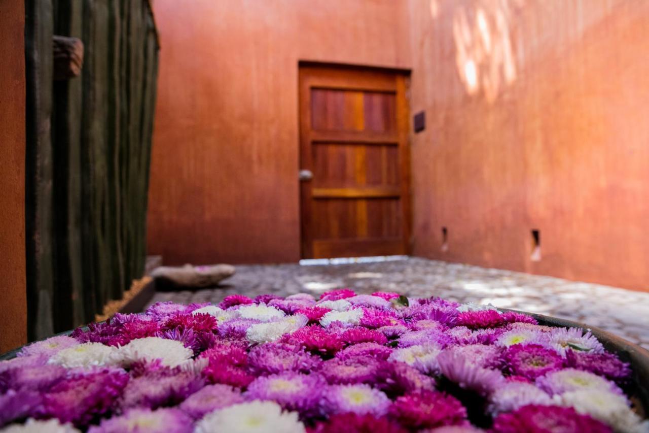 Casa Carmen Reforma Hotel Oaxaca Ngoại thất bức ảnh